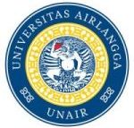 Universitas Airlangga (Unair)